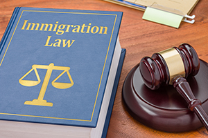 A law book with a gavel - Immigration law