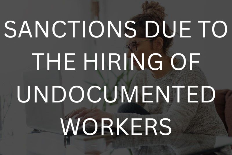 Employer Sanctions Defense Attorney